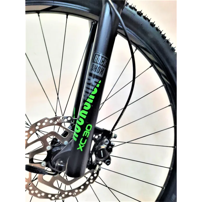 Elektryczny Rower Górski 29 FOCUS WHISTLER 2 - 2