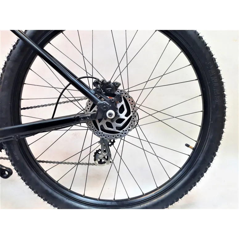 Elektryczny Rower Górski 29 FOCUS WHISTLER 2 - 5