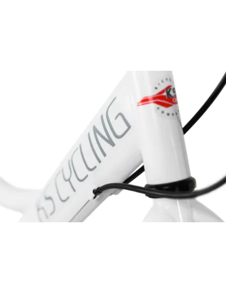 Dziecięcy Rower Miejski 20 Dziewczęcy Bagażnik - 7