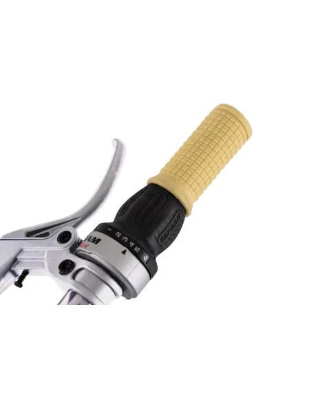 Dziecięcy Rower Miejski 20 Dziewczęcy Bagażnik - 3