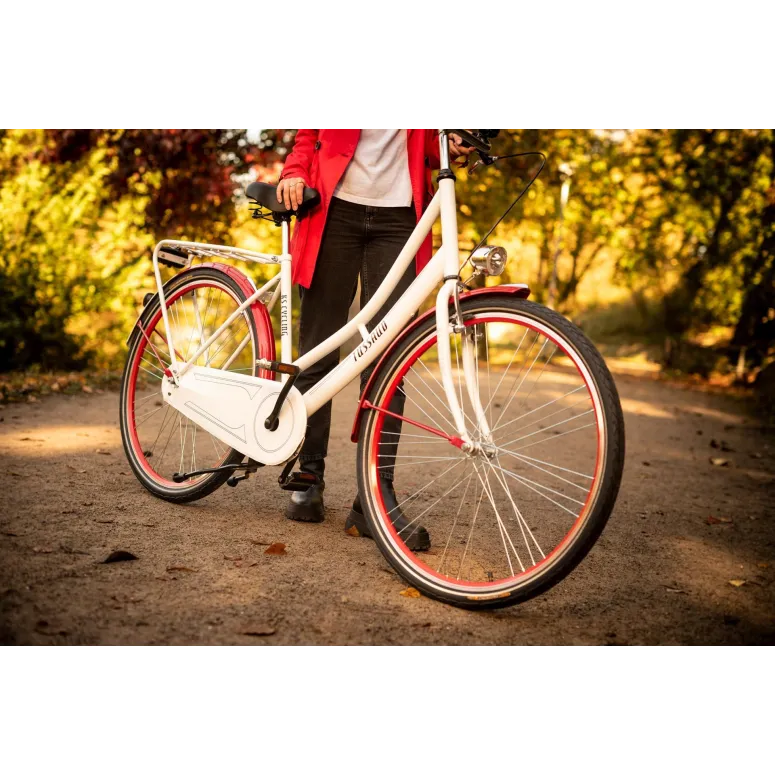 Rower Miejski Damski 28 Holenderka Oświetlenie - 8