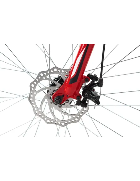 Rower Górski 29 Unisex 21 bieg Tarcze Amortyzacja - 4