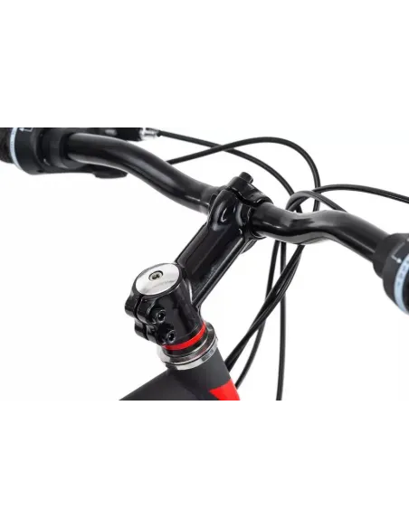 Rower Górski 29 Tarcze 21 bieg Amortyzacja Unisex - 3