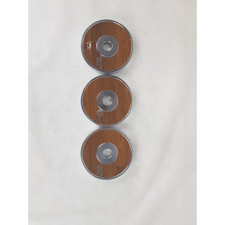 Hantle Treningowe ProIron Regulowane Gryf 14,5 kg - 10