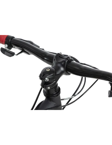 Dziecięcy Rower Górski 24 Tarczowe 21 bieg Góral - 3