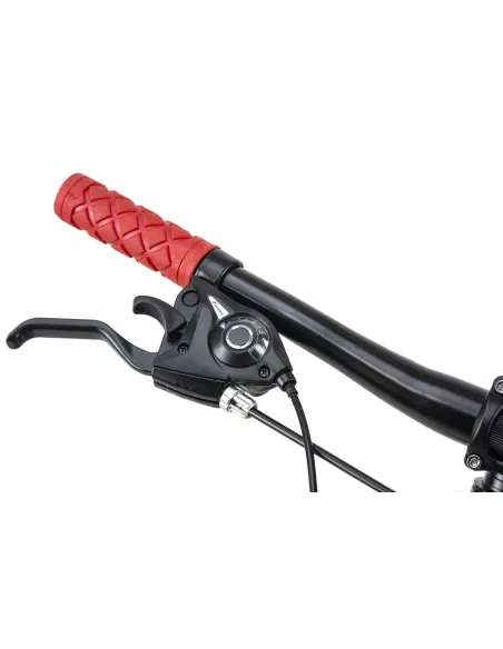 Dziecięcy Rower Górski 24 Tarczowe 21 bieg Góral - 2