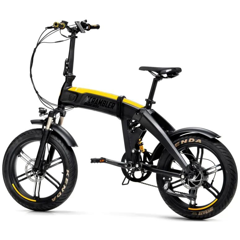 Rower Elektryczny Składany 20 Fatbike 12,8 Ah 80km Grube Opony 250W 5 Tryb - 4