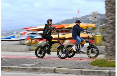 Rower Elektryczny Składany 20 Fatbike 12,8 Ah 80km Grube Opony 250W 5 Tryb - 5