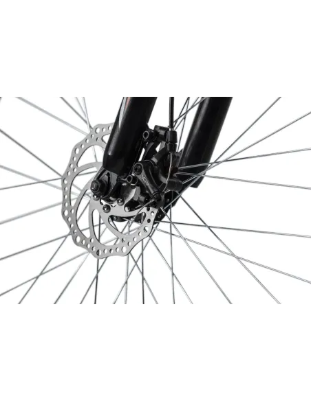 Rower Górski 29 MTB 21 biegów ALU Tarczowe Góral