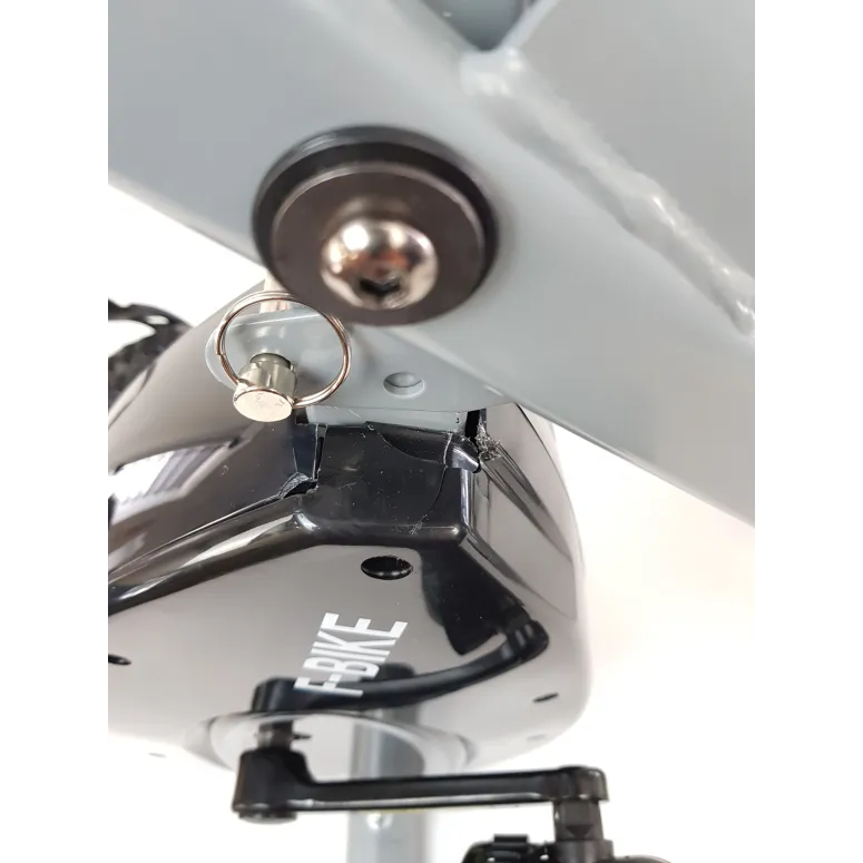 Rower Treningowy Pionowy Ultrasport F-Bike 100 kg