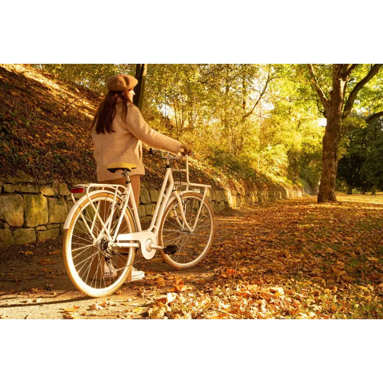 Rower Retro Miejski 28 Damski Oświetlenie Bagażnik