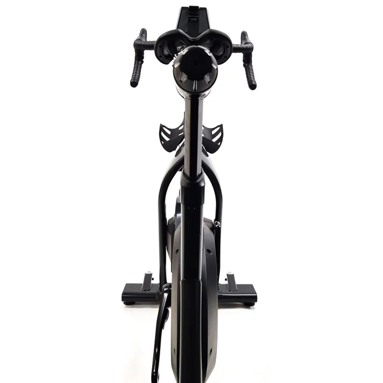 Rower Treningowy Stacjonarny Stages Bike SB20 BT