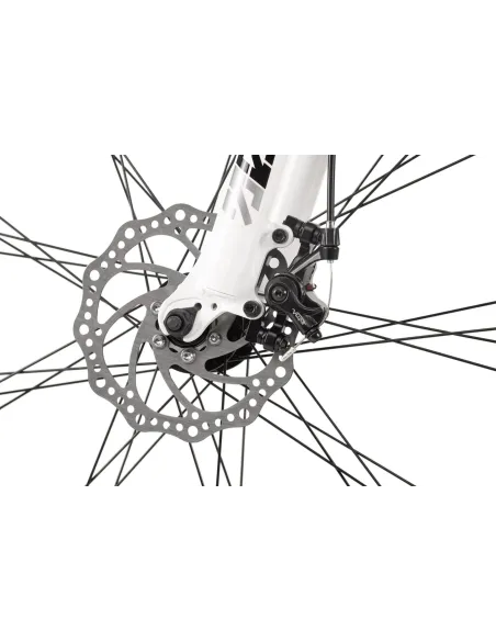 Rower Górski Dziecięcy 24 MTB 21 bieg Cyngle Błotniki Góral Światła Dzwonek