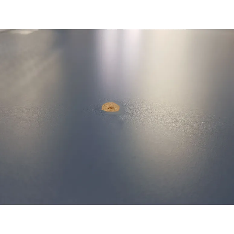 Stół do Ping-Ponga Joola z Siatką Składany Kompaktowy do Tenisa Stołowego