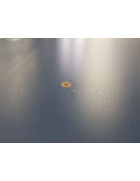 Stół do Ping-Ponga Joola z Siatką Składany Kompaktowy do Tenisa Stołowego