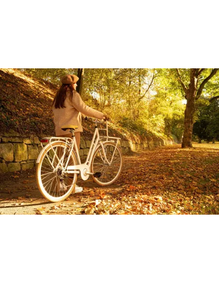 Rower Miejski Damski 28 Retro 6 Biegów Revo Błotniki Bagaż Światła Dzwonek