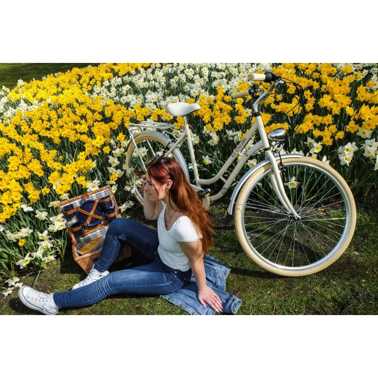 Rower Miejski Damski 28 Vintage 6 Biegów Stopka Błotniki Bagażnik Światła