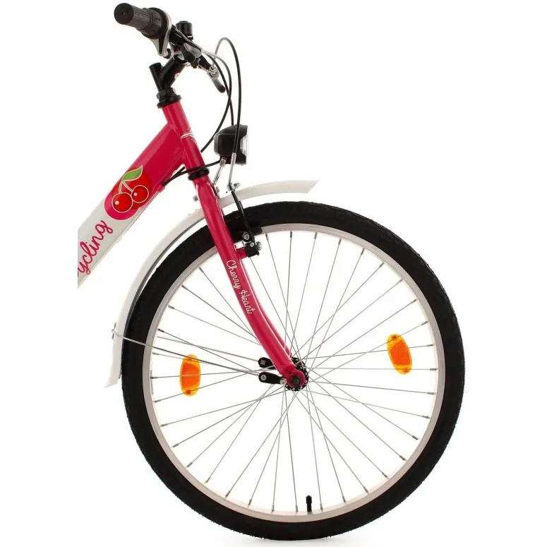 Rower Dziecięcy 24 Dziewczęcy 6 Biegów Stalowy Bagażnik Oświetlenie Dzwonek