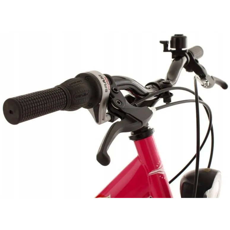 Rower Dziecięcy 24 Dziewczęcy 6 Biegów Stalowy Bagażnik Oświetlenie Dzwonek