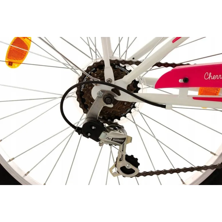 Rower Dziecięcy 24 Dziewczęcy 6 Biegów Stalowy Bagażnik Oświetlenie Dzwonek