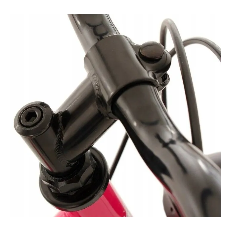 Rower Dziecięcy 24 Dziewczęcy 6 Biegów Stalowy Bagażnik Oświetlenie Dzwonek