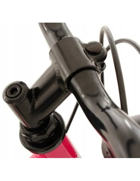 Rower Dziecięcy 24 Dziewczęcy 6 Biegów Stalowy Bagażnik Oświetlenie Dzwonek