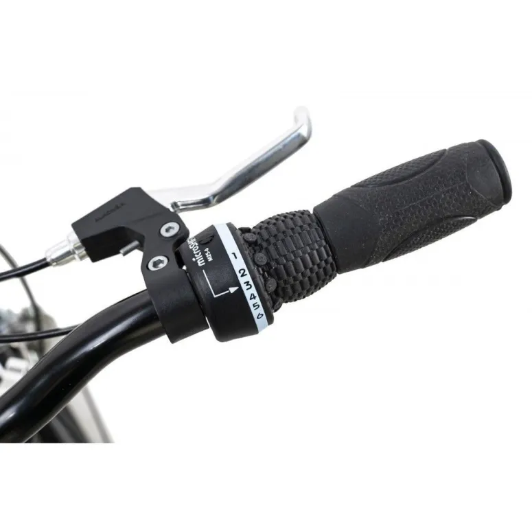 Rower Składany Uniwersalny 20 Miejski Kompaktowy Składak 6 Biegów Stalowy