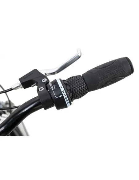 Rower Składany Uniwersalny 20 Miejski Kompaktowy Składak 6 Biegów Stalowy