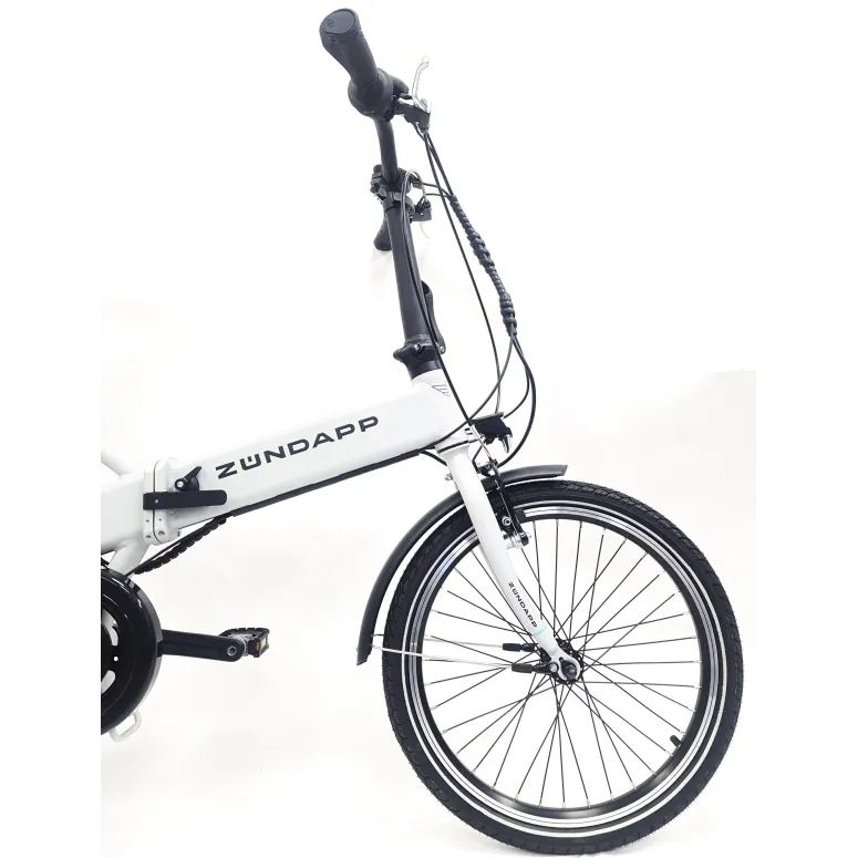 Elektryczny Rower Składany 20 Wspomaganie Składak 250 W 5 Trybów Światła