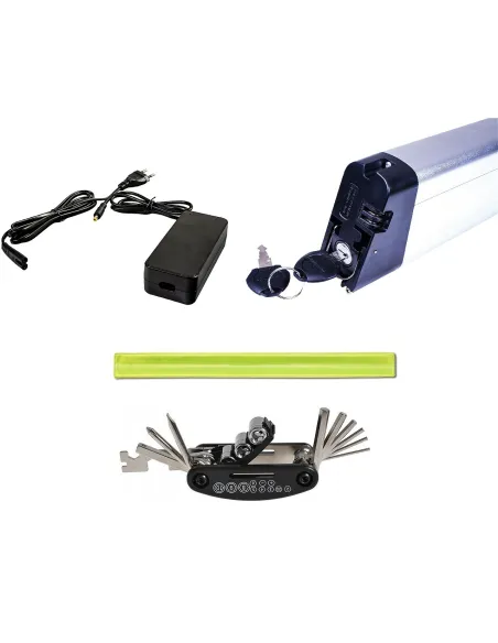 Elektryczny Rower Składany 20 Wspomaganie 250W Składak 3 Tryby Męski Damski