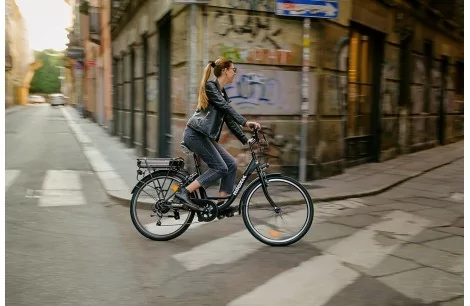 Elektryczny Rower Miejski 26 Męski Damski Wspomaganie 3 Tryby 250 W Światła