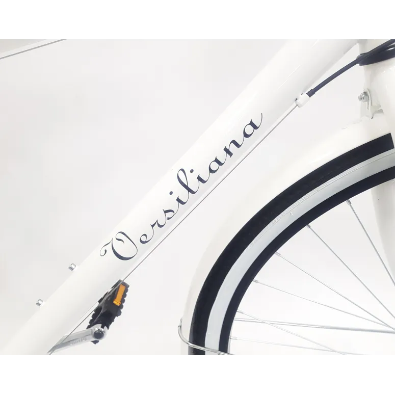 Rower Miejski 28 Męski Bagażnik Oświetlenie Dzwonek Stopka Błotniki Tarcza