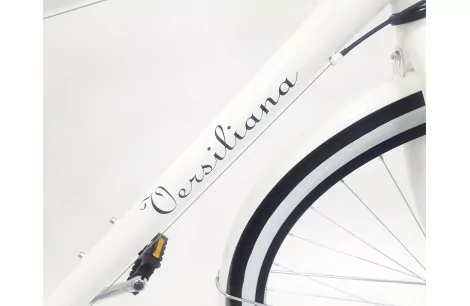 Rower Miejski 28 Męski Bagażnik Oświetlenie Dzwonek Stopka Błotniki Tarcza