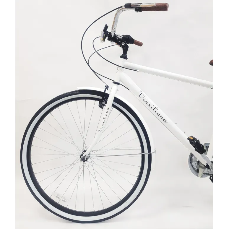 Rower Miejski 28 Męski Bagażnik Oświetlenie Dzwonek Stopka Błotniki Tarcza