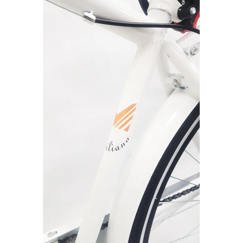 Rower Miejski 28 Męski Bagażnik Oświetlenie Dzwonek Stopka Błotniki Tarcza