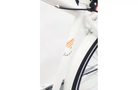 Rower Miejski 28 Męski Bagażnik Oświetlenie Dzwonek Stopka Błotniki Tarcza