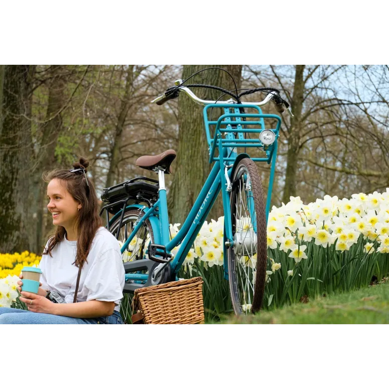 Elektryczny Rower Miejski 28 Damski Wspomaganie Damka 5 Trybów Bagażnik