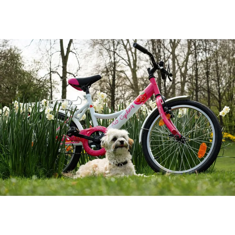 Dziewczęcy Rower Miejski Dziecięcy 20 Kontra 5+ Bagażnik Dzwonek Błotniki