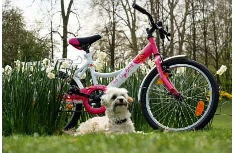 Dziewczęcy Rower Miejski Dziecięcy 20 Kontra 5+ Bagażnik Dzwonek Błotniki