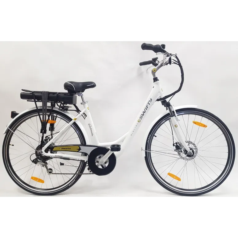 Elektryczny Rower Trekkingowy 28 Tarcze Turystyczny Bagażnik 250W 3 tryby