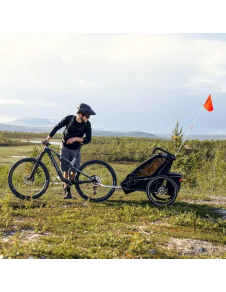 Przyczepka Rowerowa Thule ChariotSport Wielofunkcyjna NaRower Narty Jogging