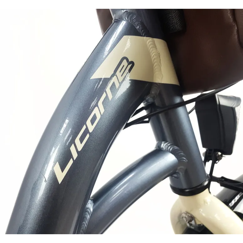 Rower Miejski Damski 28 ALU 21 Biegów Bagażnik Sakwy Dzwonek Światła Stopka