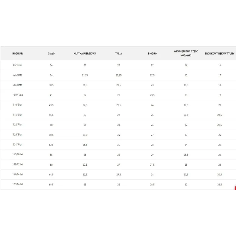 Kurtka Zimowa Ciepła Z Kapturem Dziecięca Chłopięca Dziewczęca R. 140/10