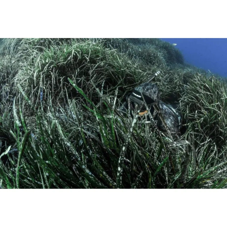 Kurtka Neoprenowa Cressi Tracina 5 mm Pianka Kamuflaż Wzmocnienia r. L/4