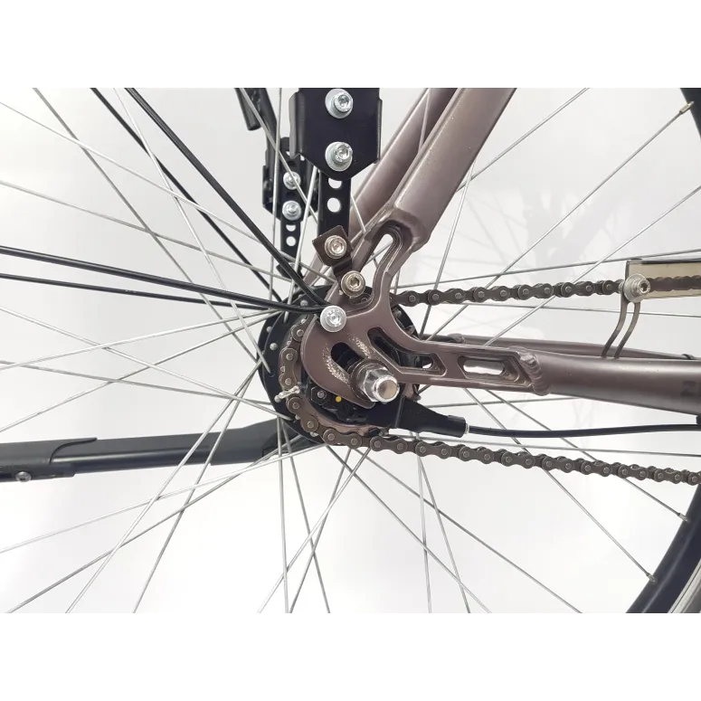 Elektryczny Rower Miejski 28 Wspomaganie 5 Trybów Nexus 7 Bagażnik Światła