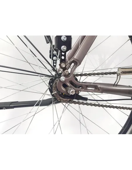 Elektryczny Rower Miejski 28 Wspomaganie 5 Trybów Nexus 7 Bagażnik Światła