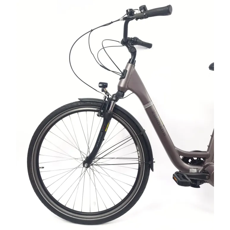 Elektryczny Rower Miejski 28 Wspomaganie 5 Trybów Nexus 7 Bagażnik Światła