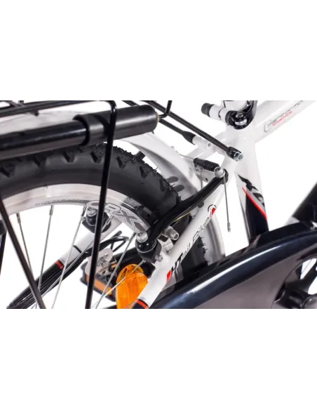 Rower Miejski 20 Dziecięcy Błotniki Bagażnik Światła Dzwonek Dynamo Stopka