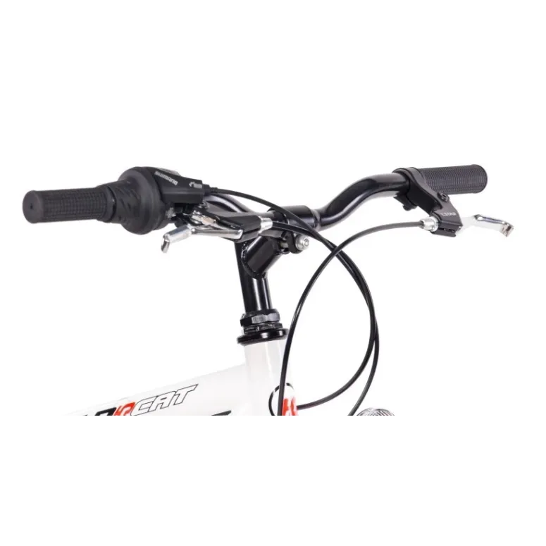 Rower Miejski 20 Dziecięcy Błotniki Bagażnik Światła Dzwonek Dynamo Stopka