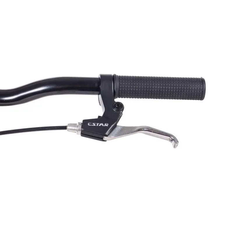 Rower Miejski 20 Dziecięcy Błotniki Bagażnik Światła Dzwonek Dynamo Stopka